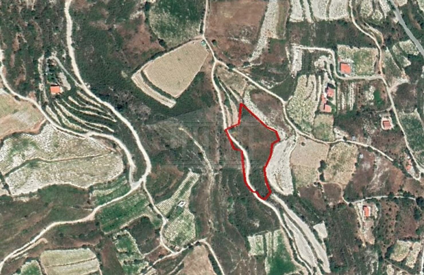 Field in Koilani, Limassol