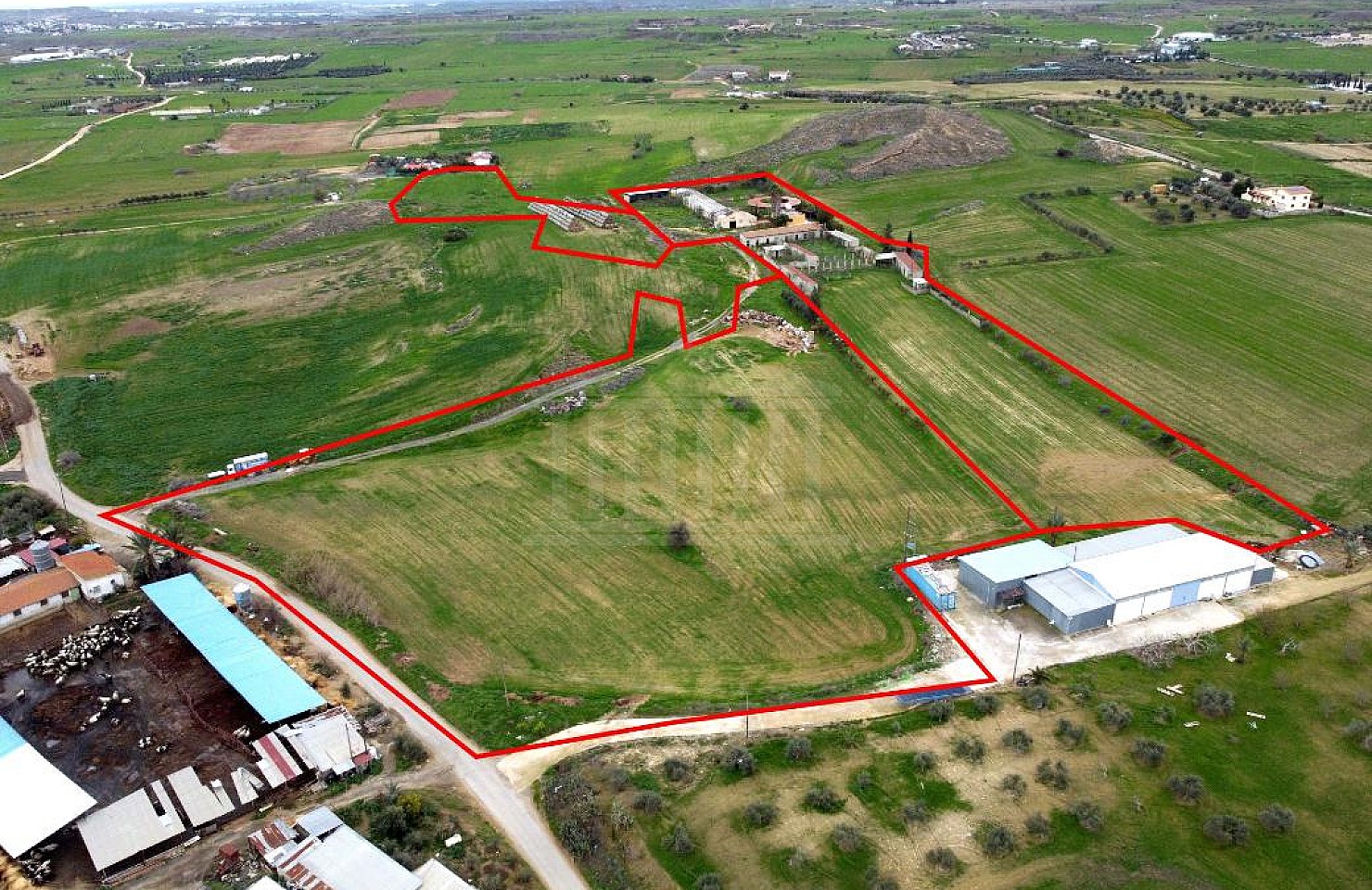 Fields in Psimolofou, Nicosia