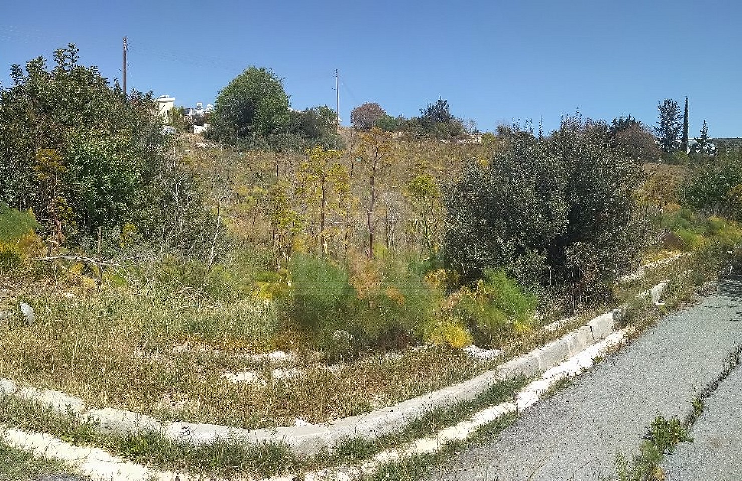Residential Field in Konia, Paphos