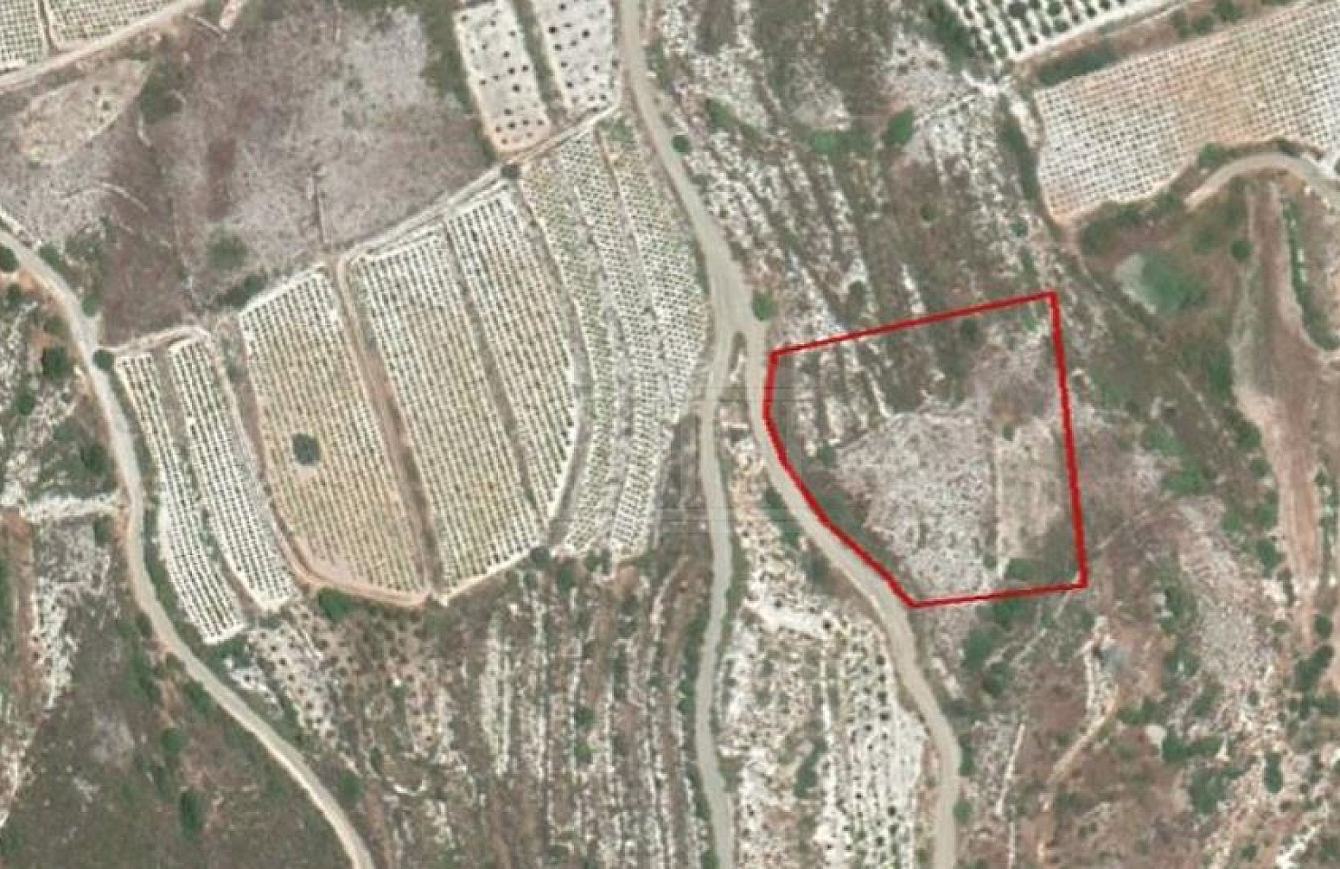 Field in Agios Mamas, Limassol
