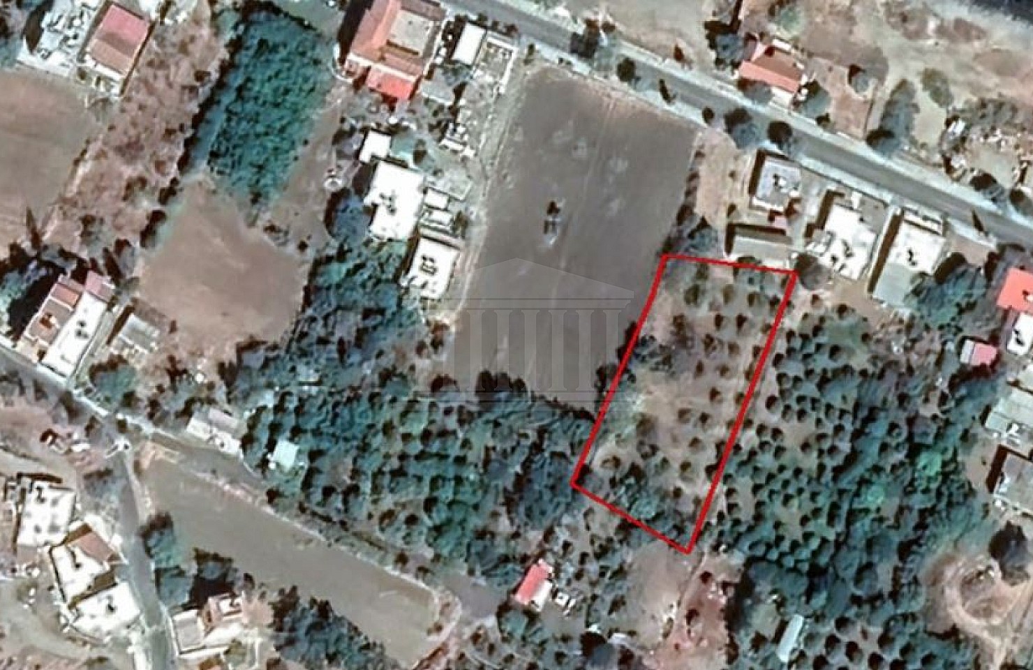 Field in Kato Pyrgos, Nicosia