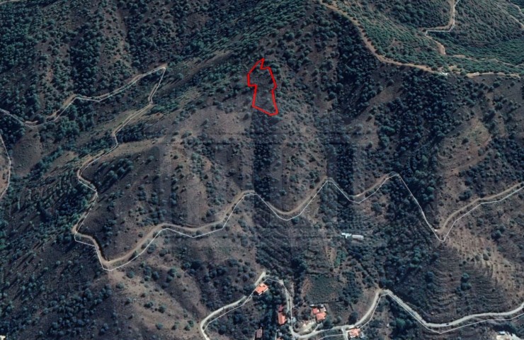 Agricultural Land, Kampos, Nicosia