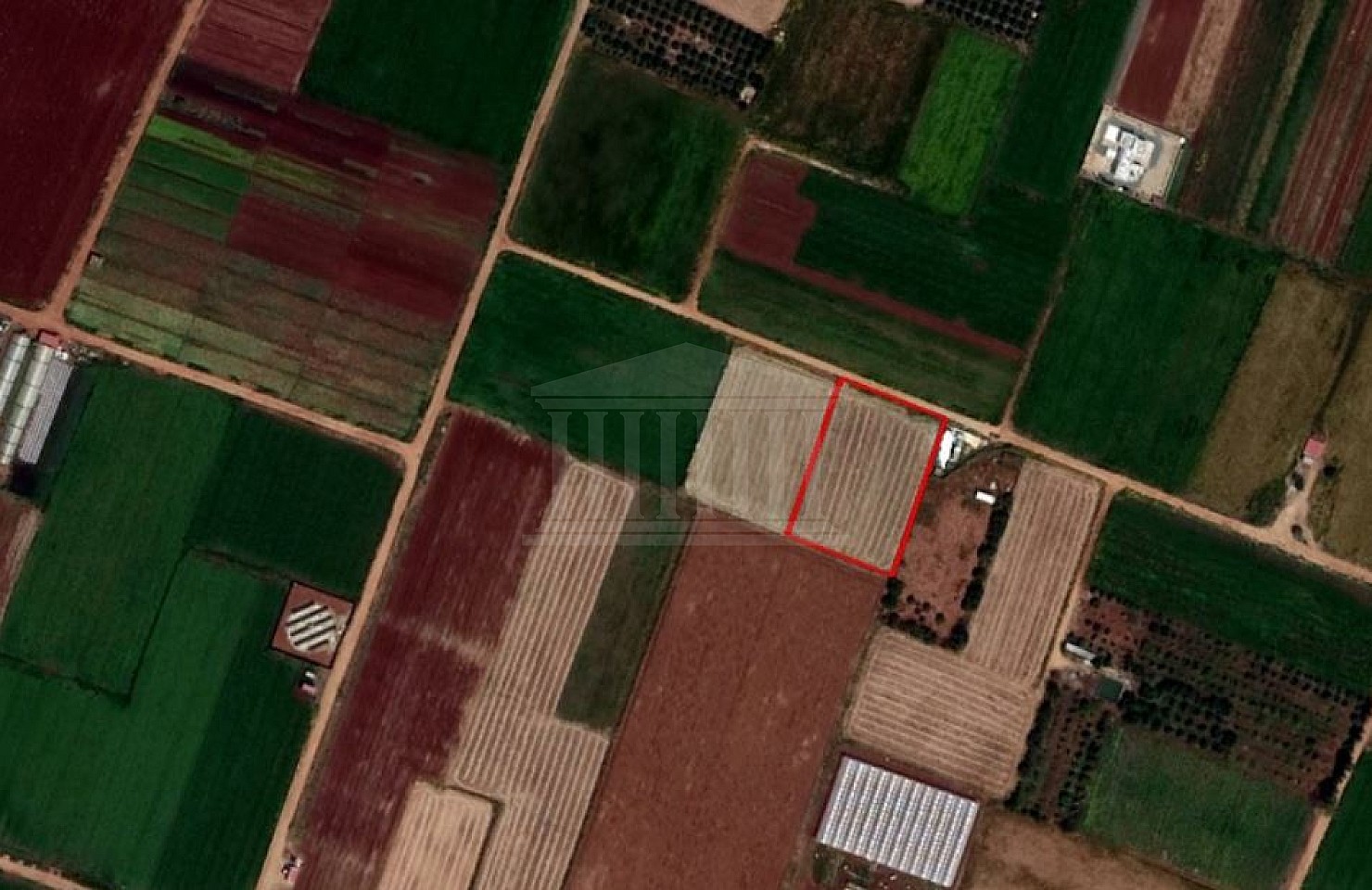 Field in Xylofagou, Larnaka