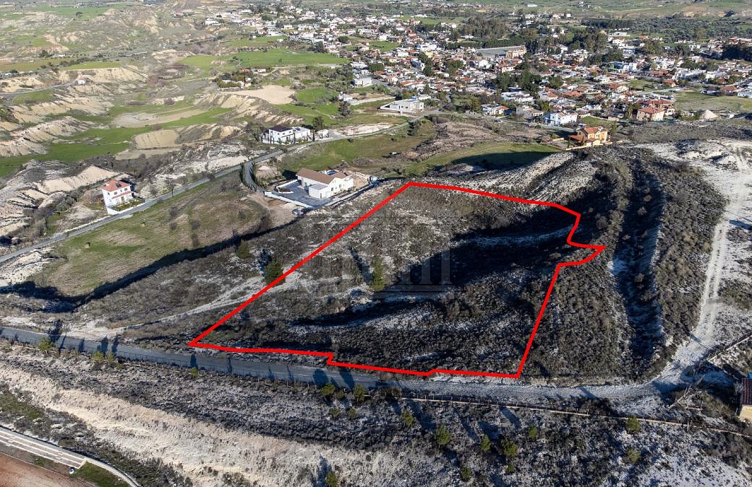 Shared field in Arediou, Nicosia