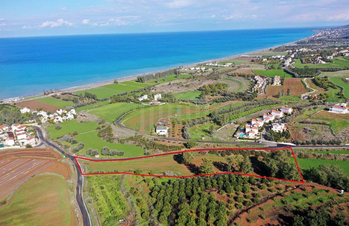 Field in Argaka, Paphos
