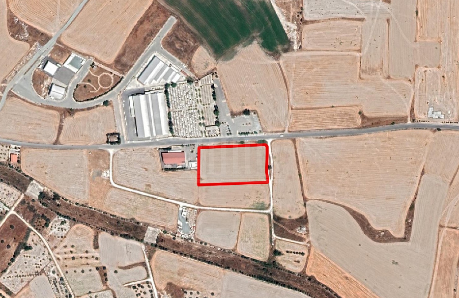 Field in Aradippou, Larnaka