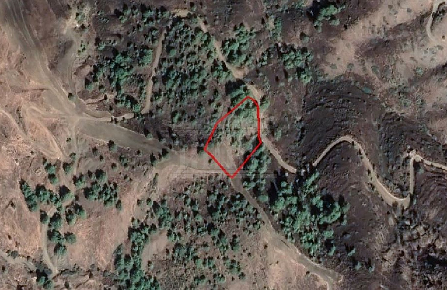 Field in Pigenia, Nicosia