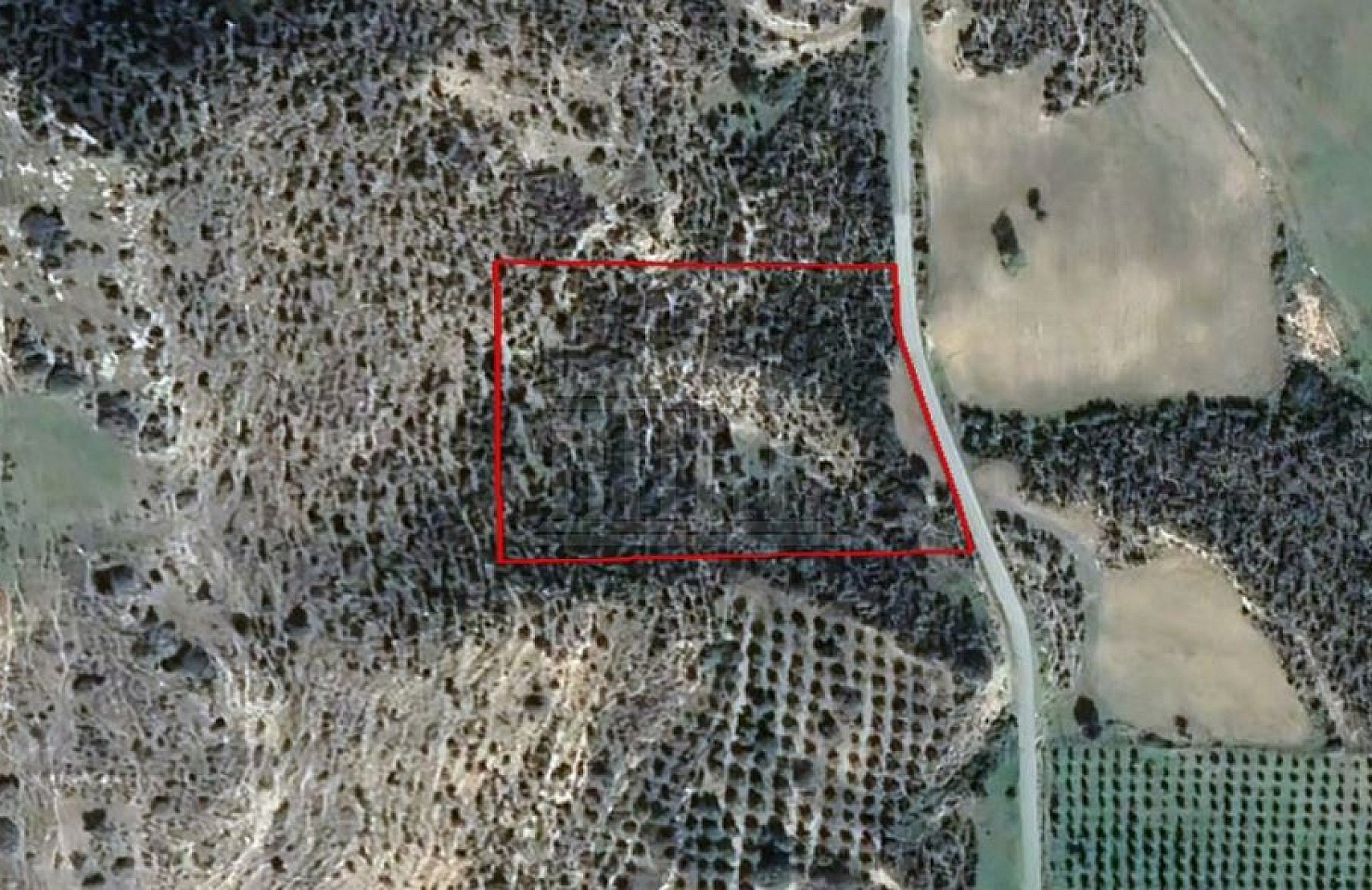 Field in Maroni, Larnaka