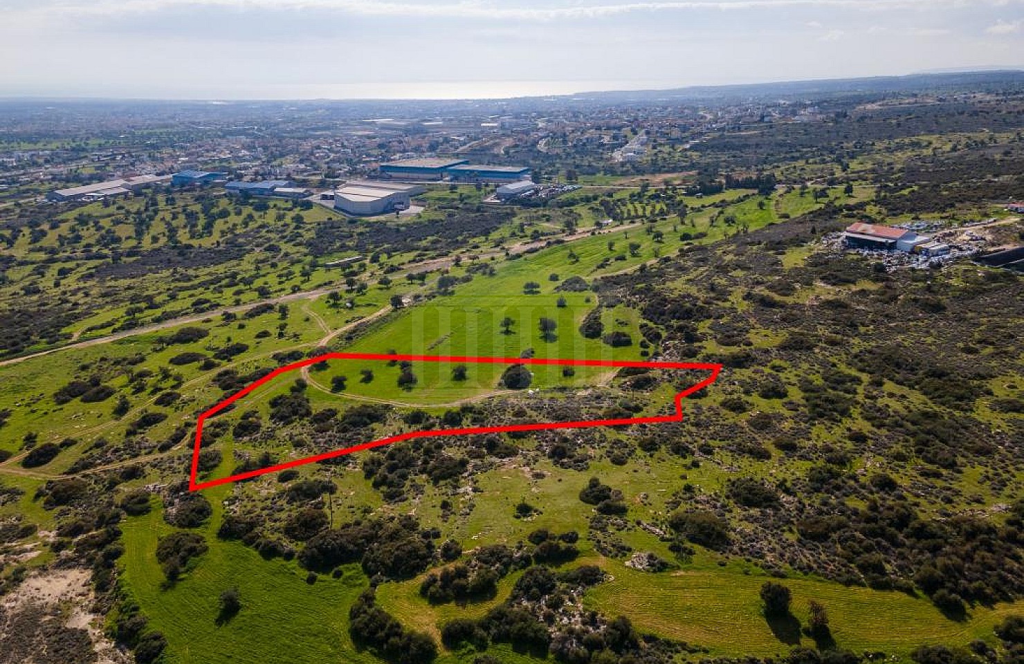 Shared field in Ypsonas, Limassol