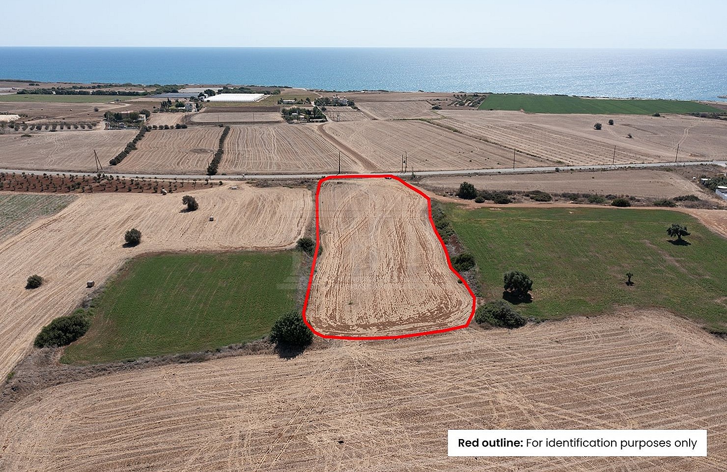Residential Field in Alaminos, Larnaca