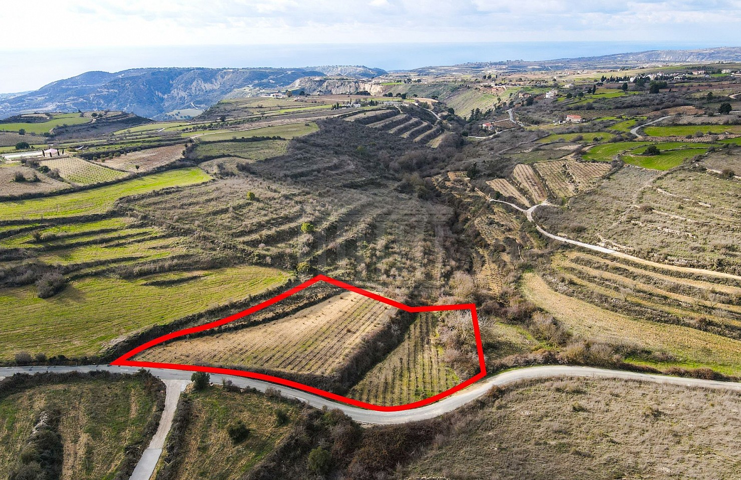 Field in Kathikas, Paphos