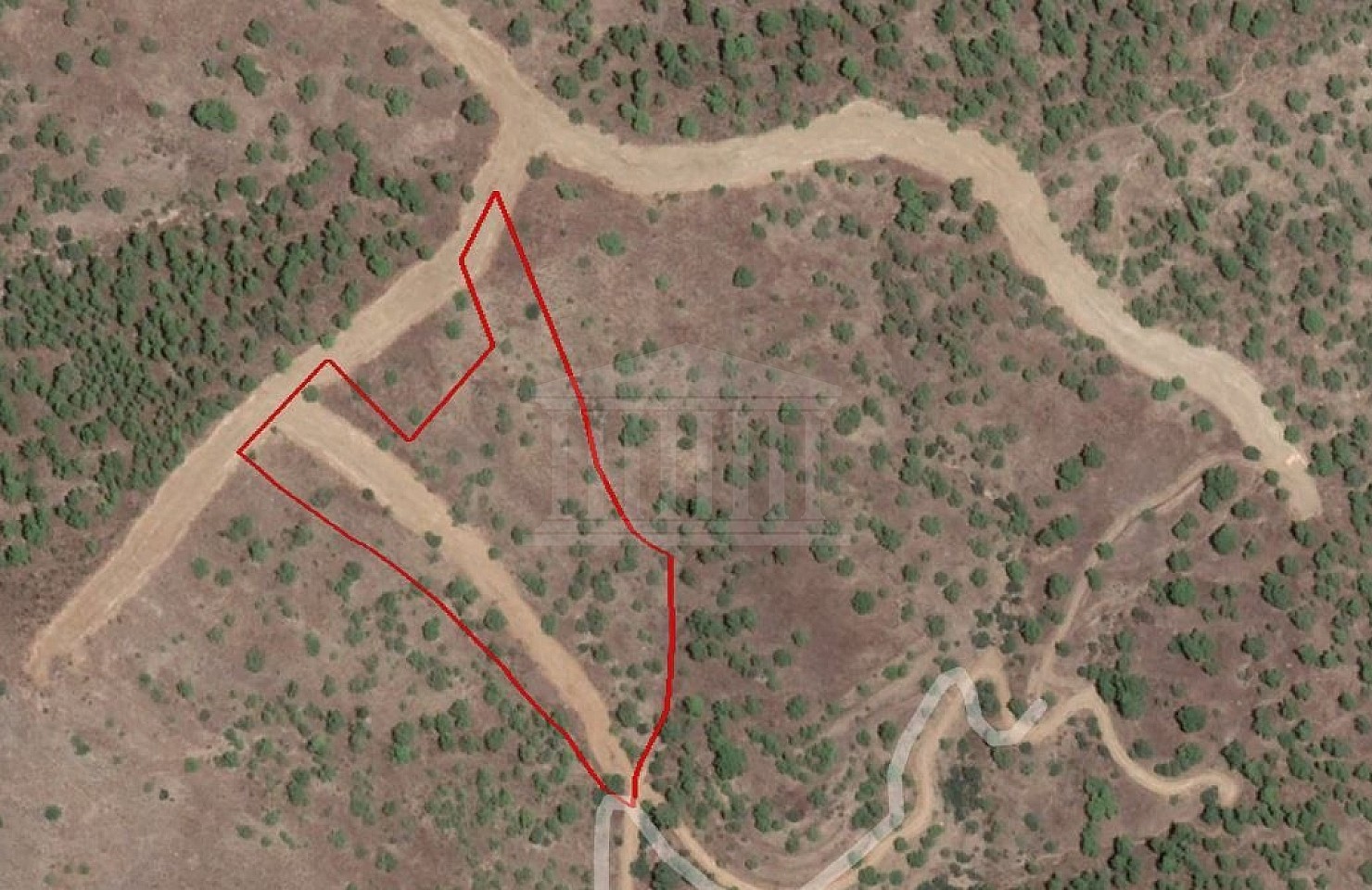 Agricultural Field in Agios Theodoros Soleas, Nicosia