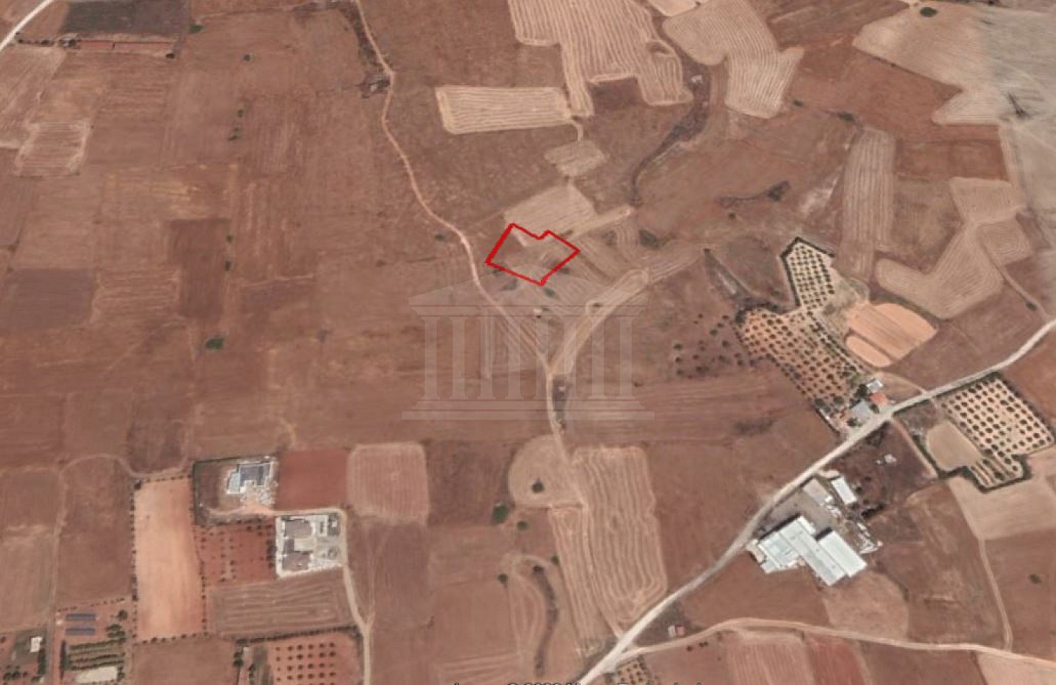 Agricultural Filed in Paliometocho, Nicosia