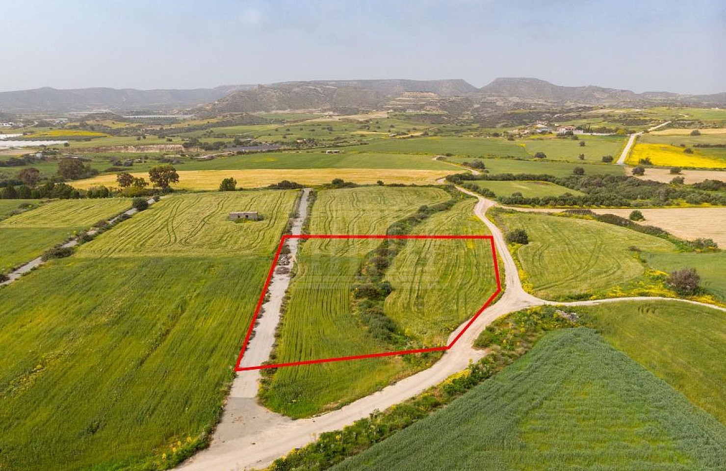 Touristic Field in Maroni, Larnaka
