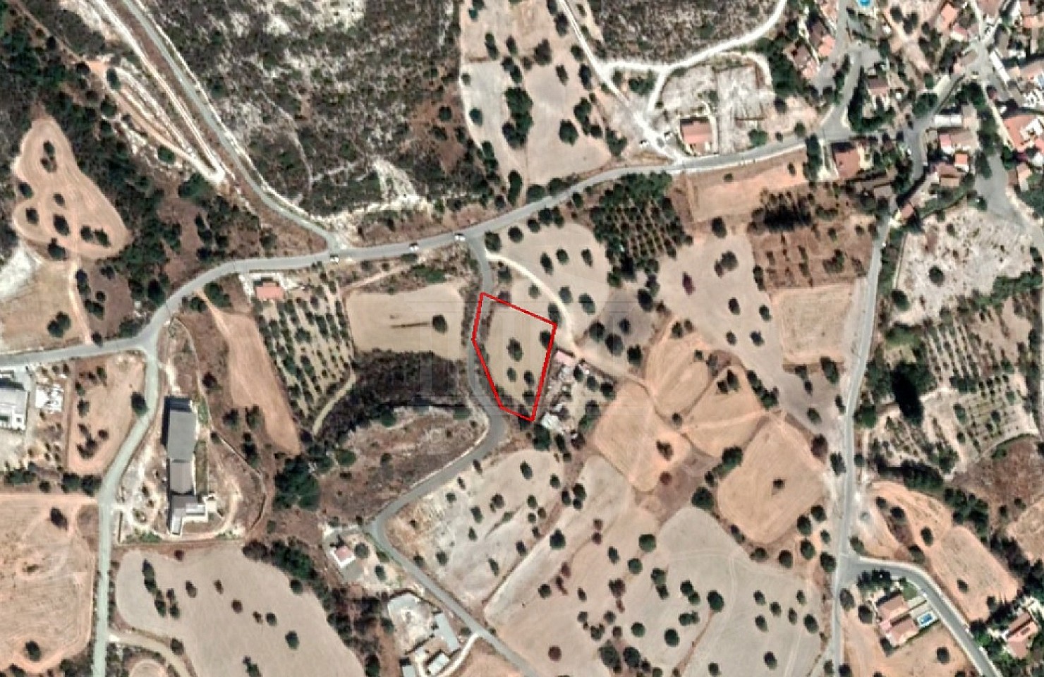 Field in Skarinou, Larnaka