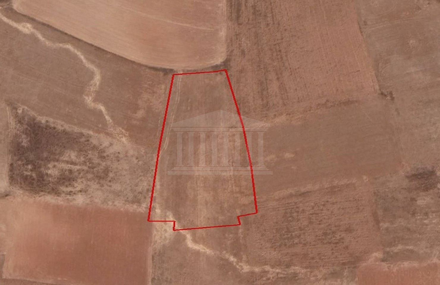 Agricultural Field in Deneia, Nicosia