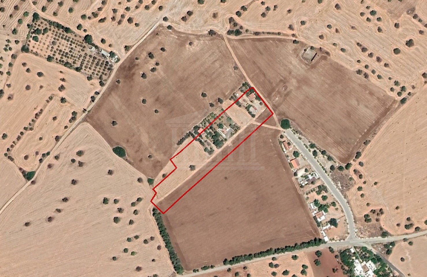 Share of Field in Mazotos, Larnaka