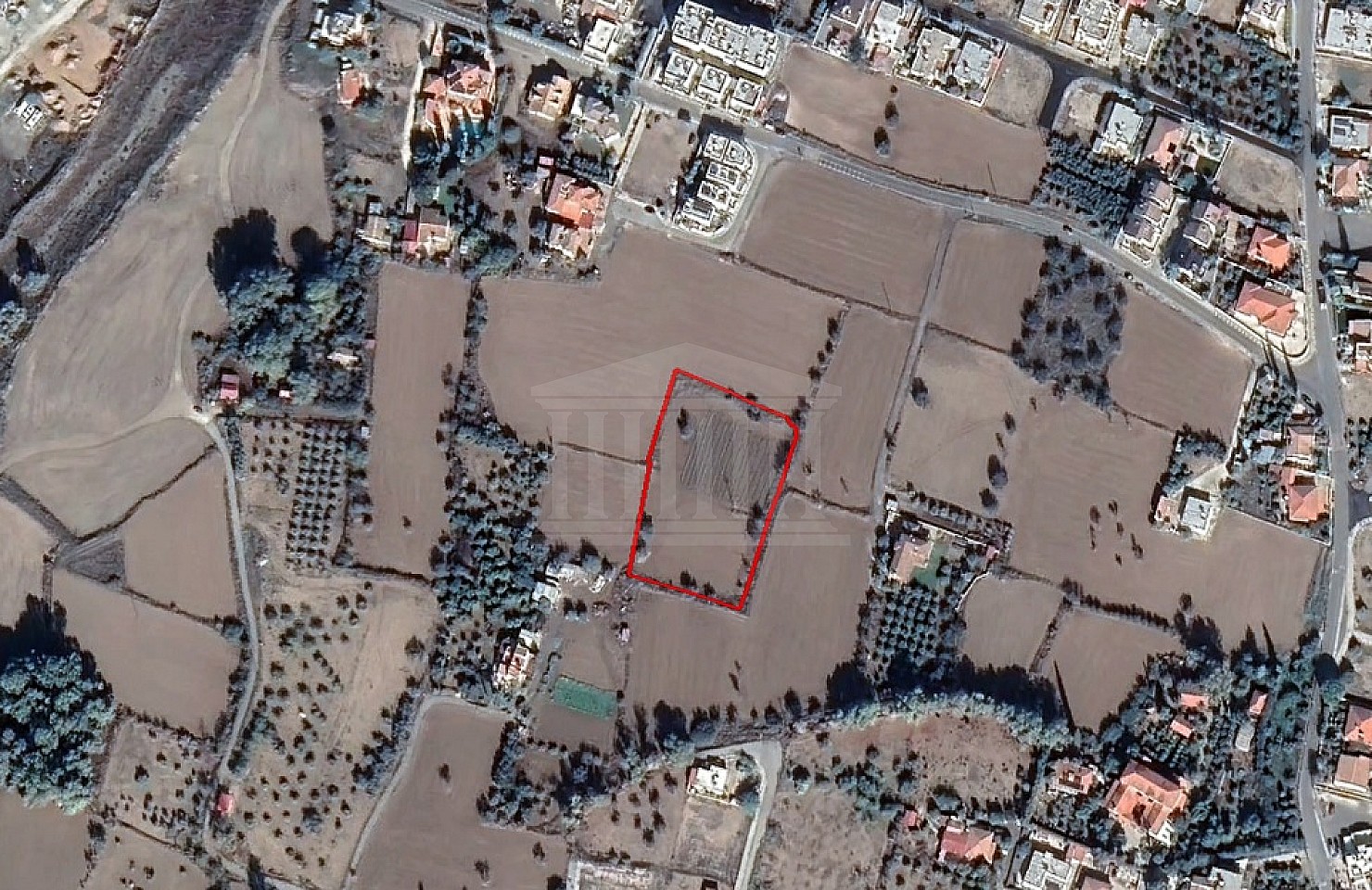 Field in Psimolofou, Nicosia