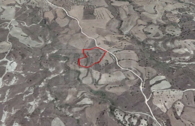 Share of field in Lasa, Paphos