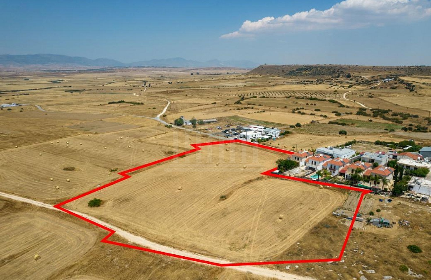 Field in Deneia, Nicosia