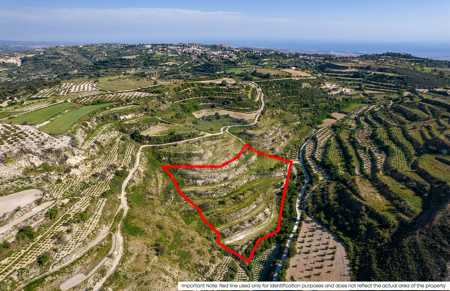 Agricultural field in Tsada, Paphos
