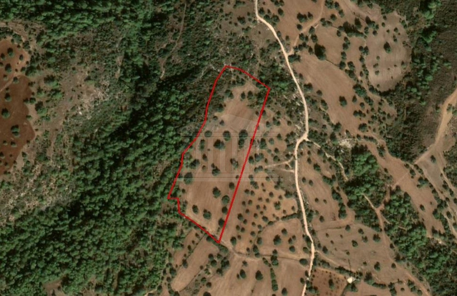 Share of Agricultural Field in Neo Chorio, Paphos