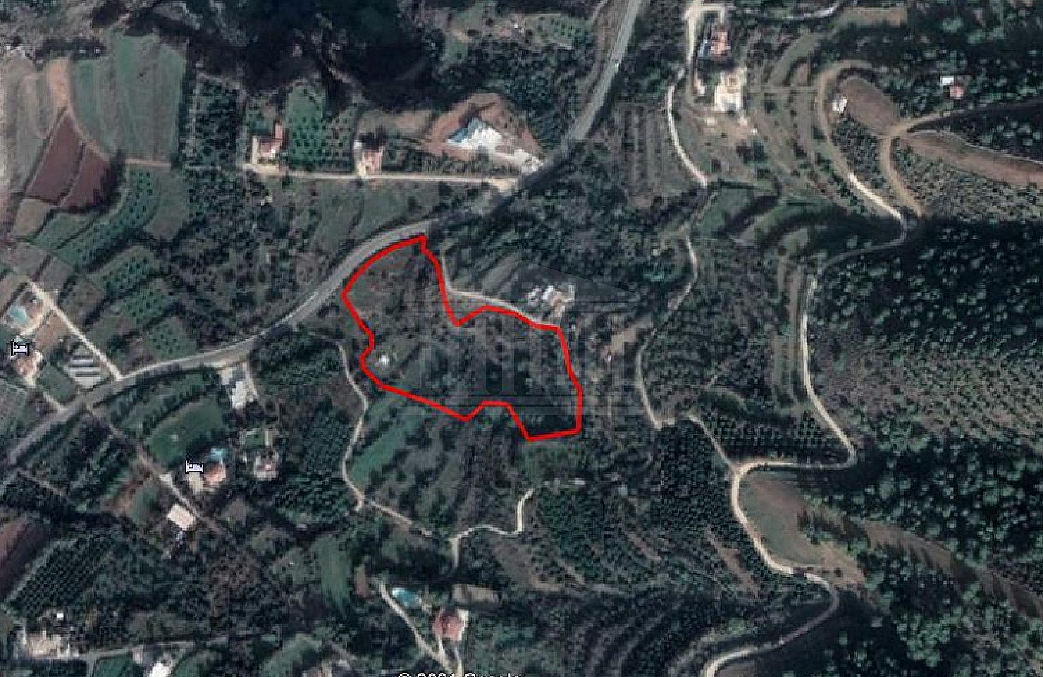Share of Field in Pomos, Paphos