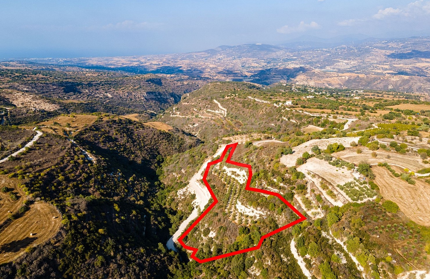 Agricultural Field in Pano Akourdaleia, Paphos