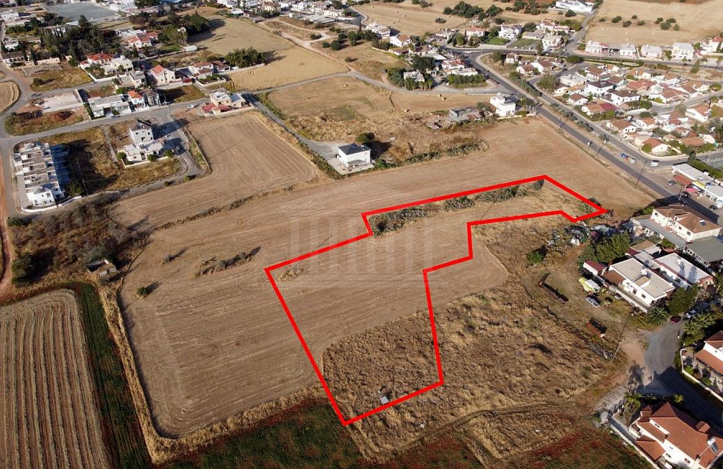 Field in Avgorou, Famagusta