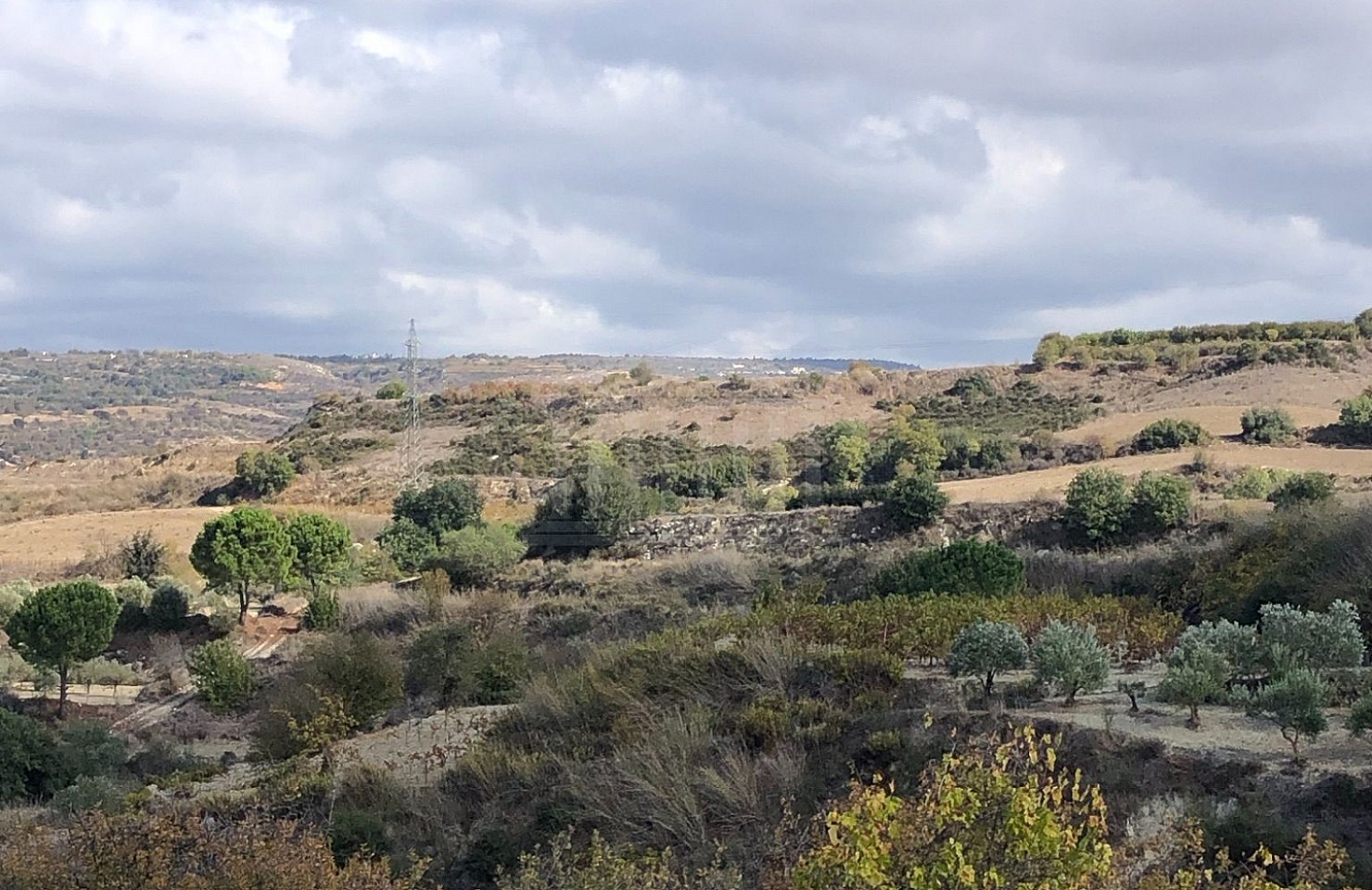 Two Agricultural Fields in Stroumpi, Paphos
