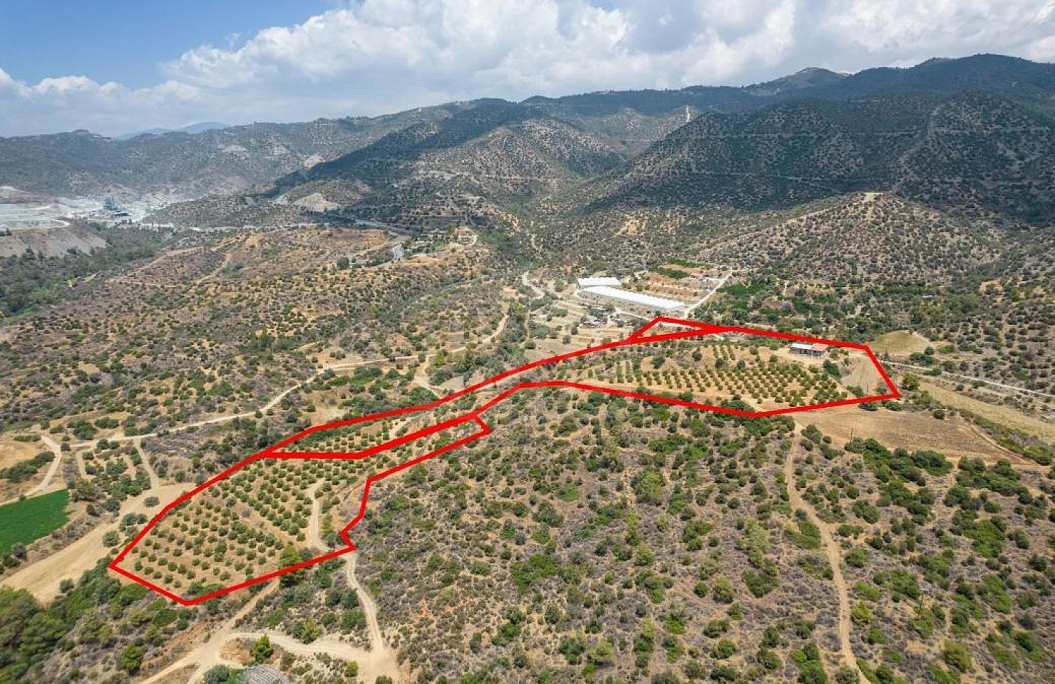 Fields in Parekklisia, Limassol