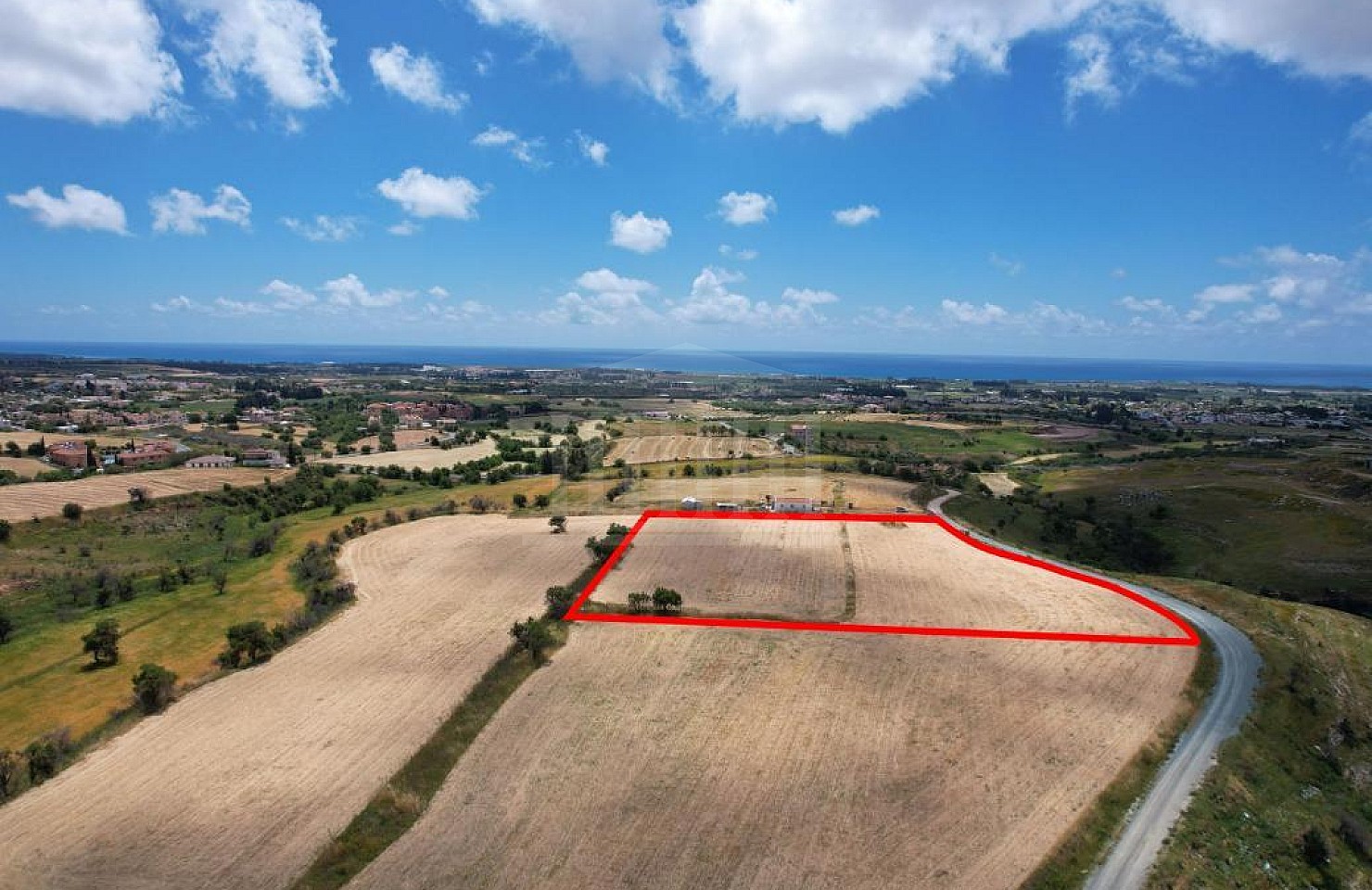 Field in Anarita, Paphos