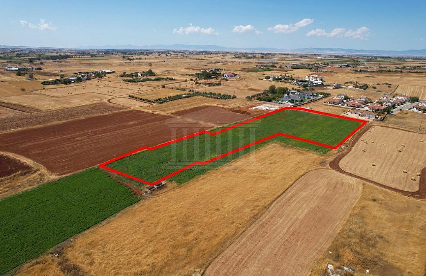 Shared field in Liopetri, Ammoshostos