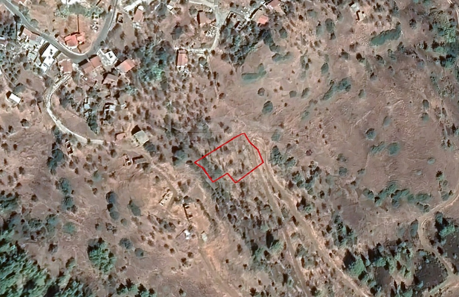 Field in Pigenia, Nicosia