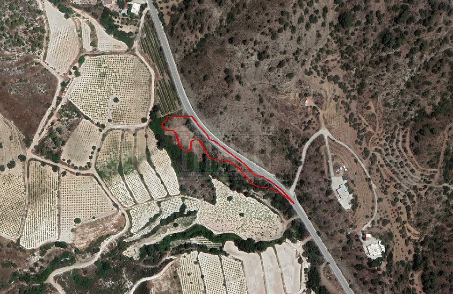 Field in Agios Mamas, Limassol
