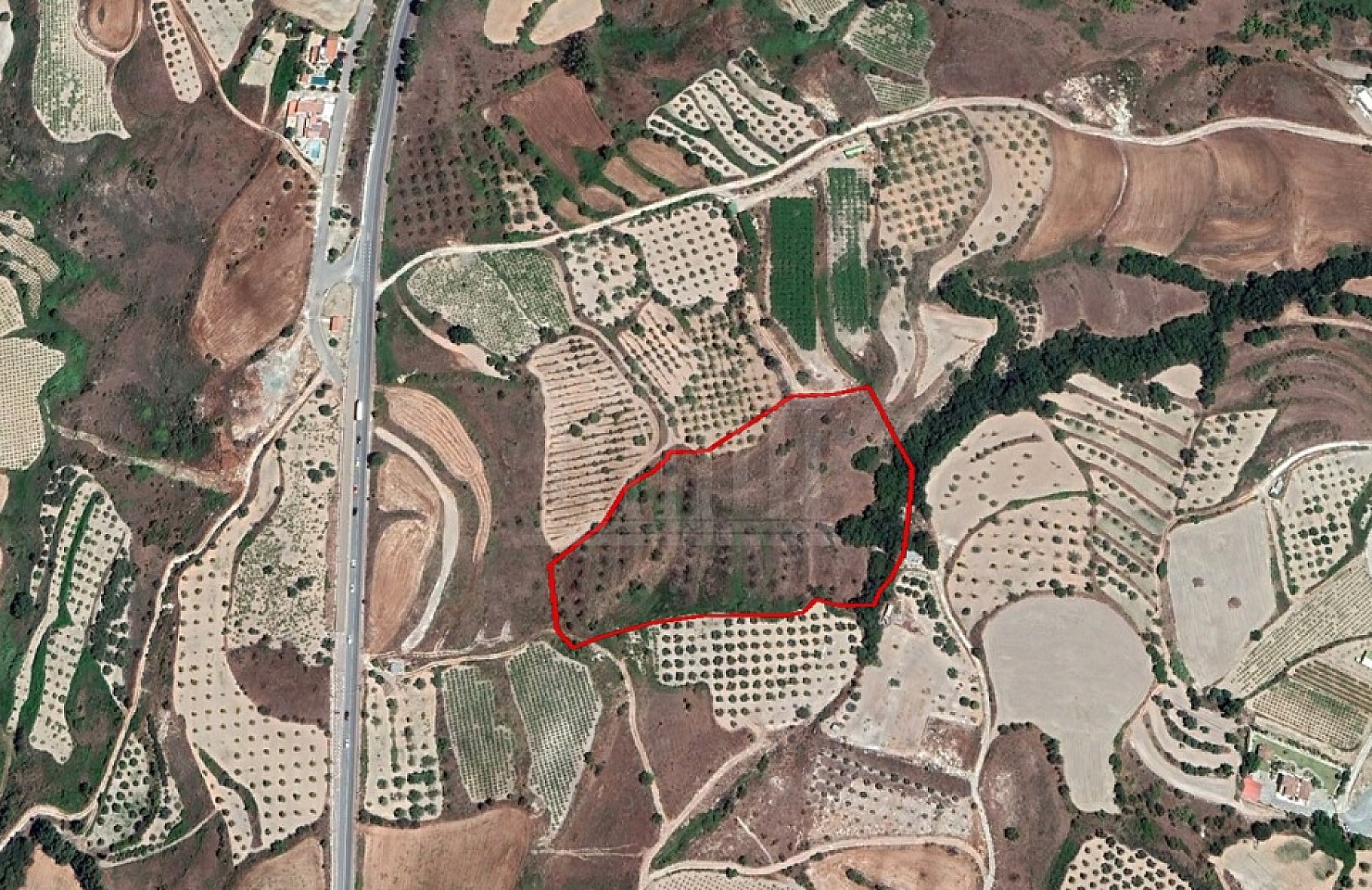 Field in Giolou, Paphos