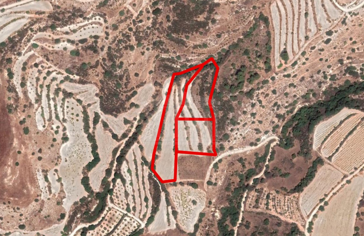 Fields in Amargeti, Paphos
