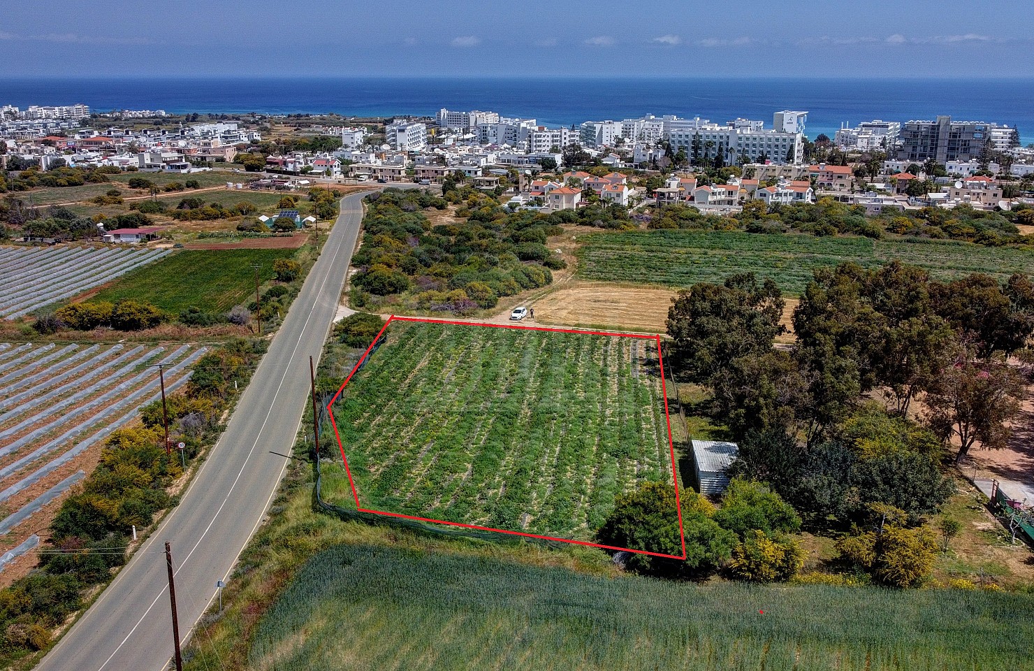 Share of Residential Field in Paralimni, Ammochostos