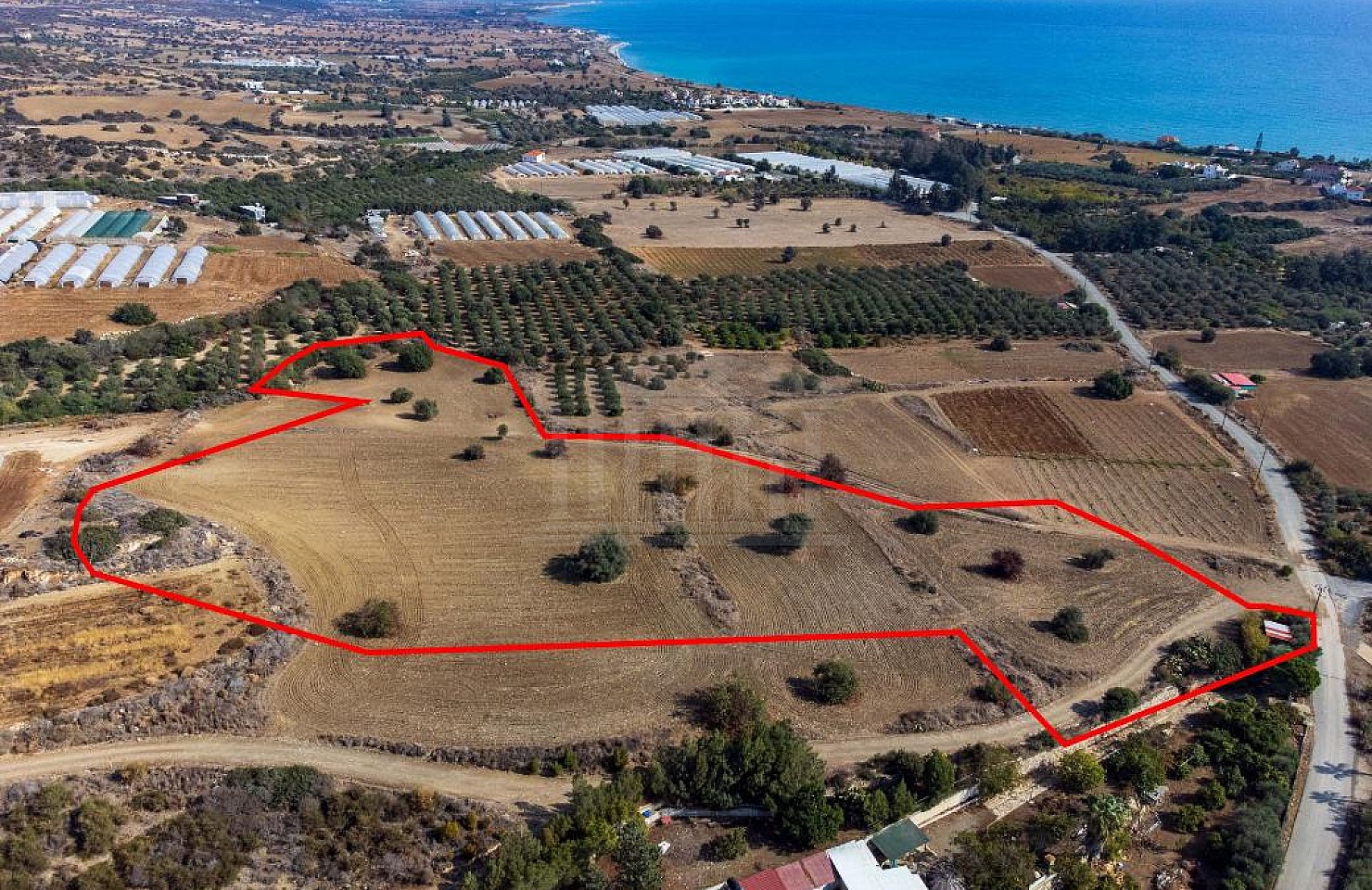 Residential Field in Agios Theodoros, Larnaca