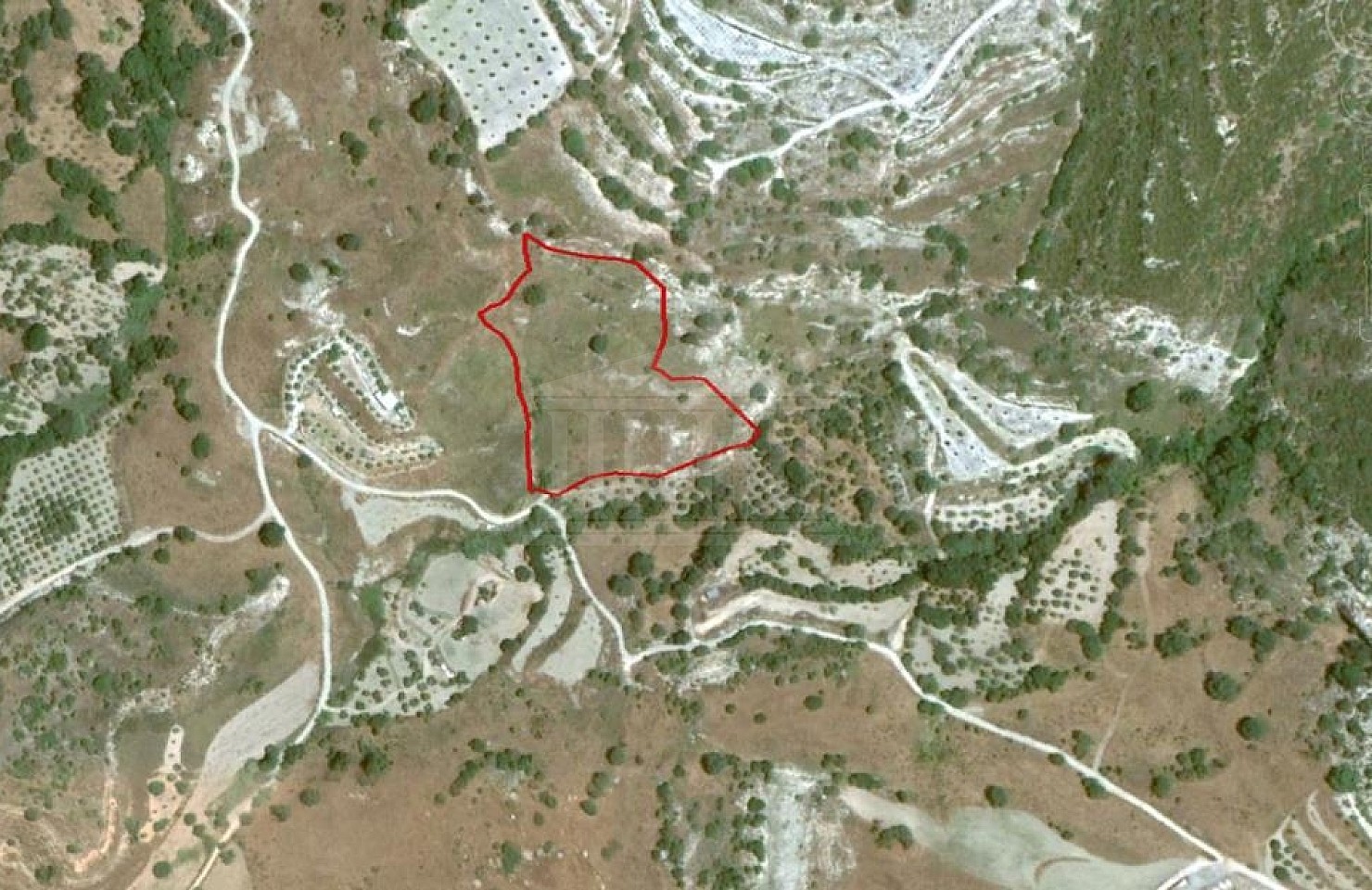Agricultural Field in Mesa Chorio, Paphos