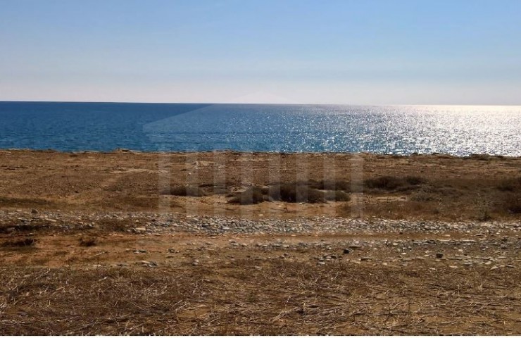 Sea-front field, Mazotos, Larnaca