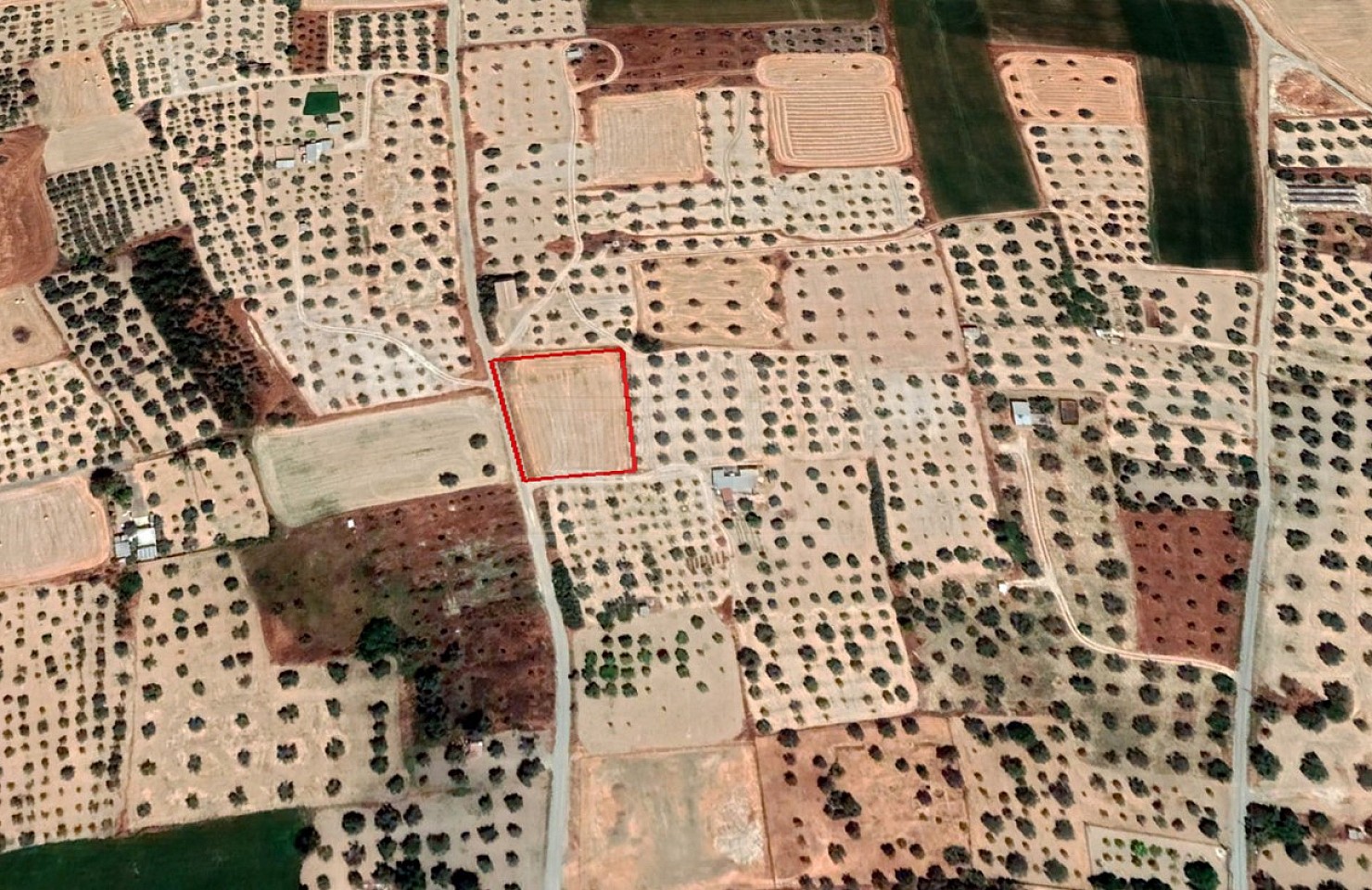 Share of Residential Field in Athienou, Larnaca