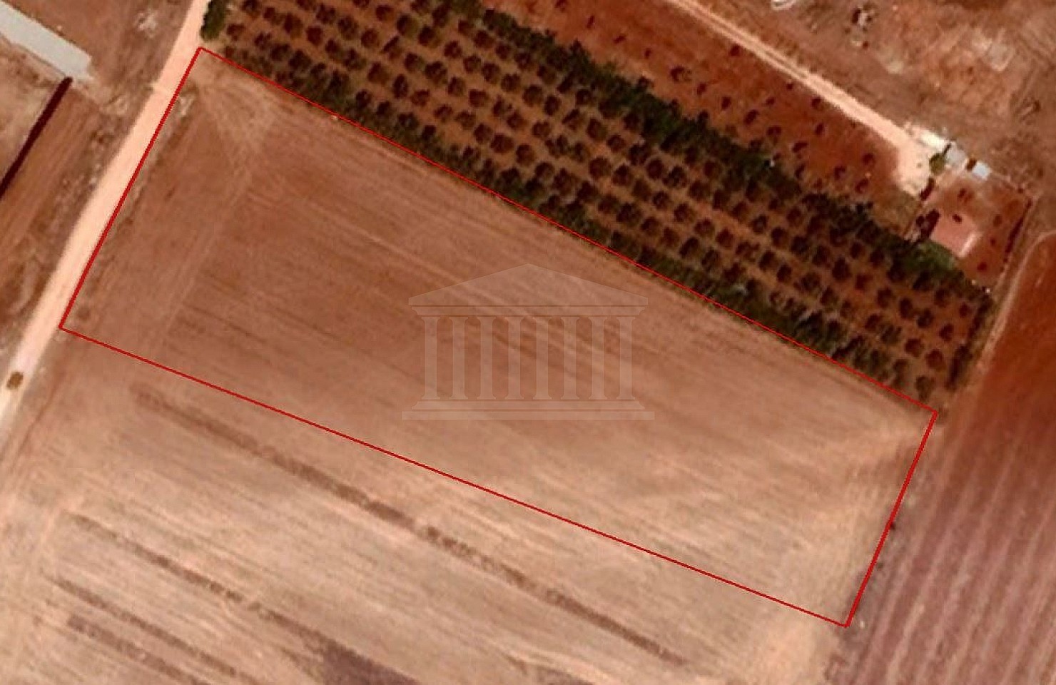 Agricultural Field in Ormideia, Larnaca