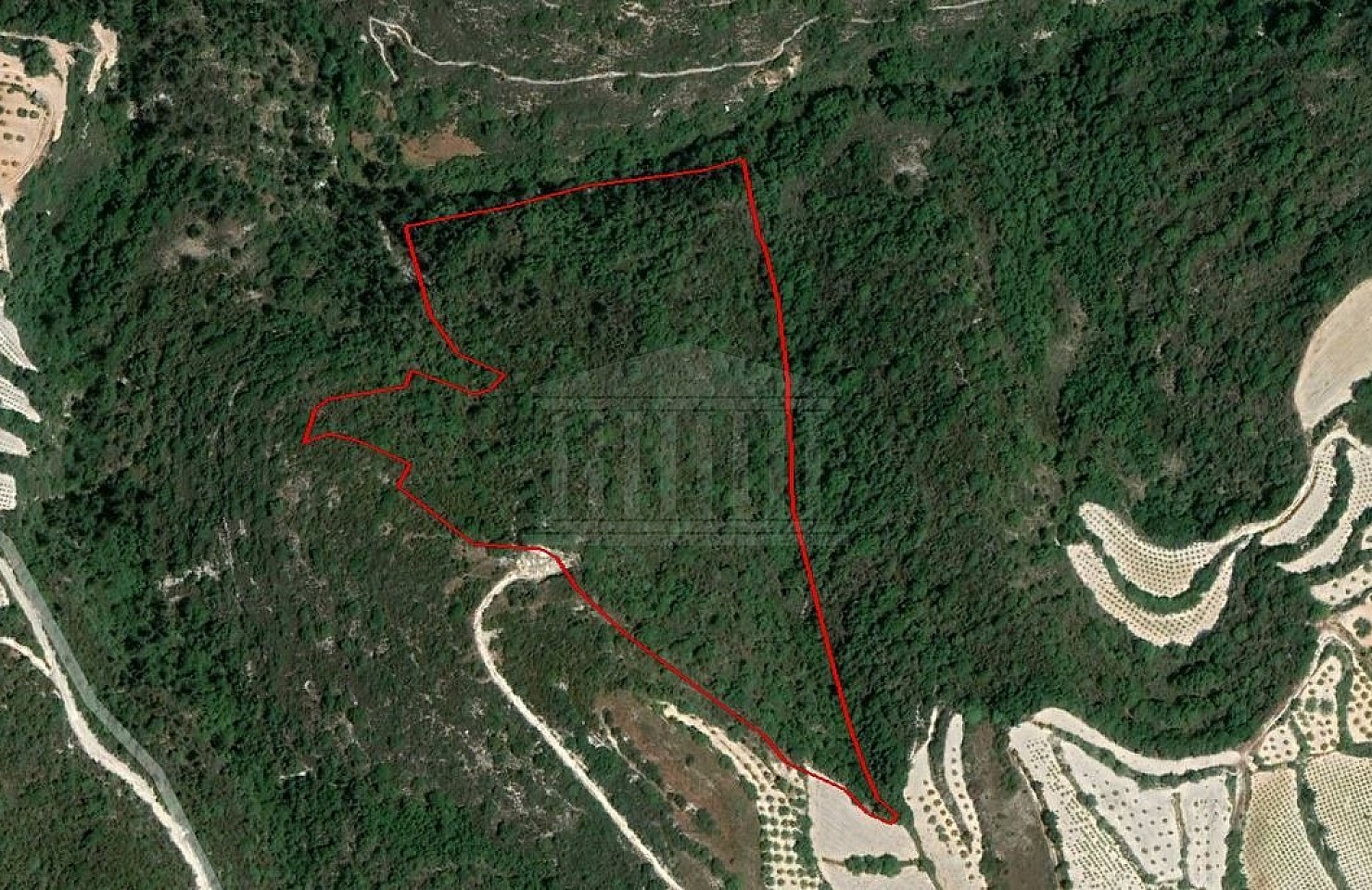 Two Adjacent Agricultural Fields in Koili, Paphos