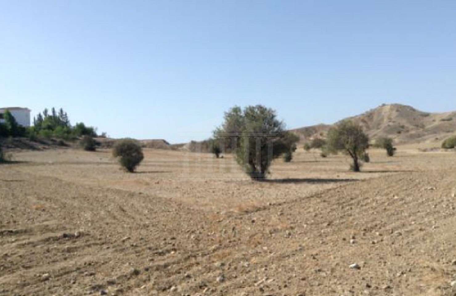 Field in Latsia, Nicosia