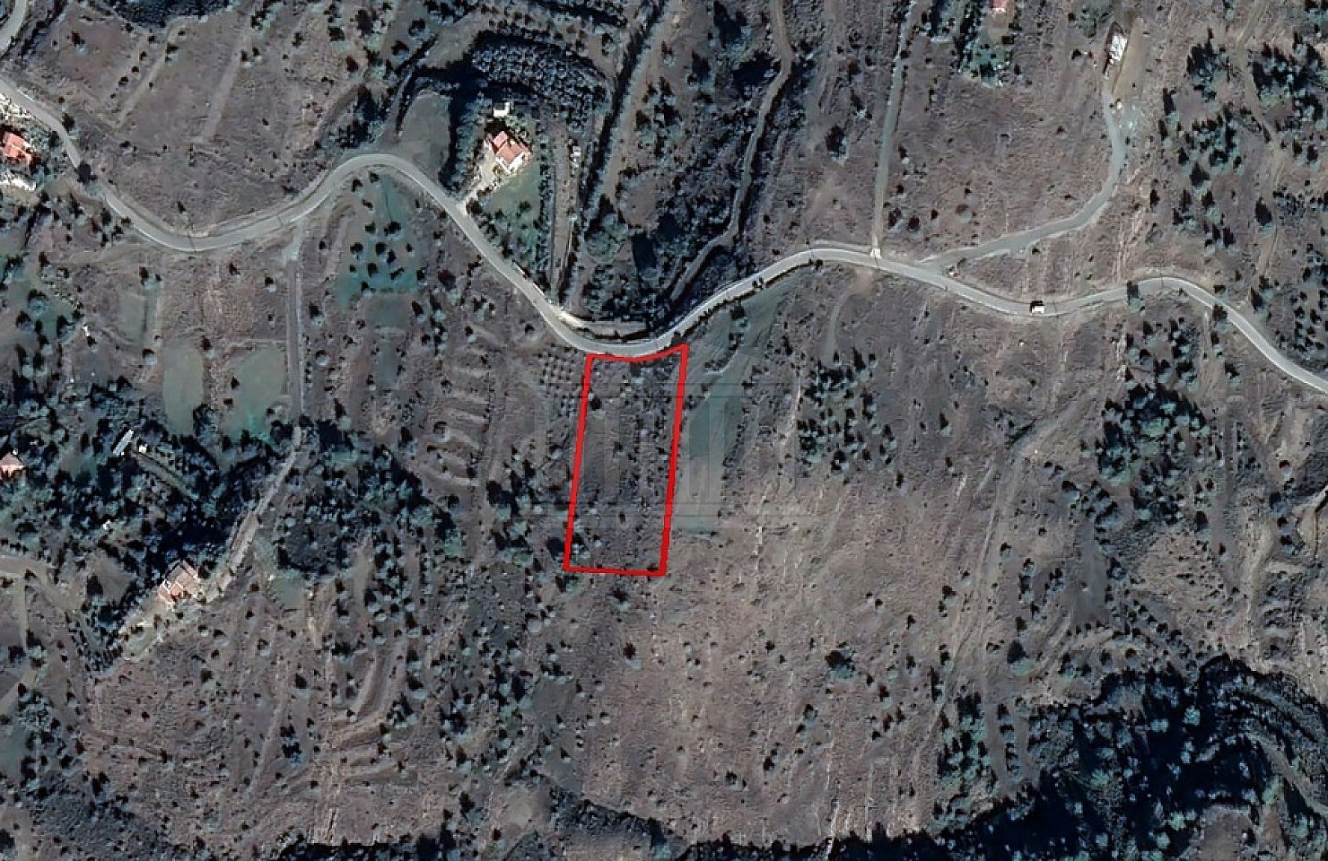 Field in Kapedes, Nicosia