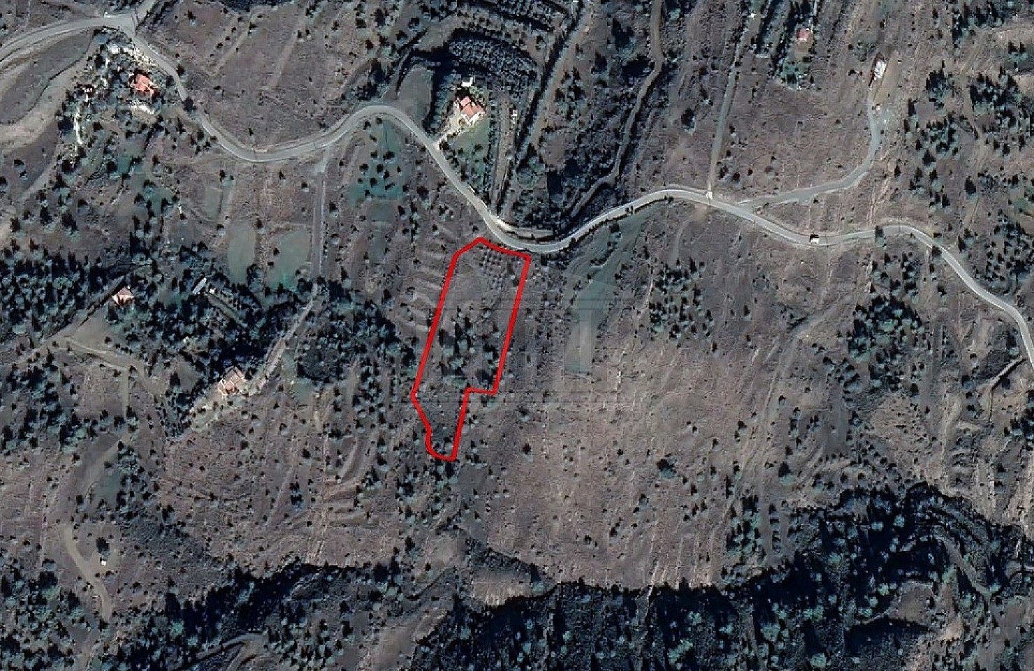 Field in Kapedes, Nicosia